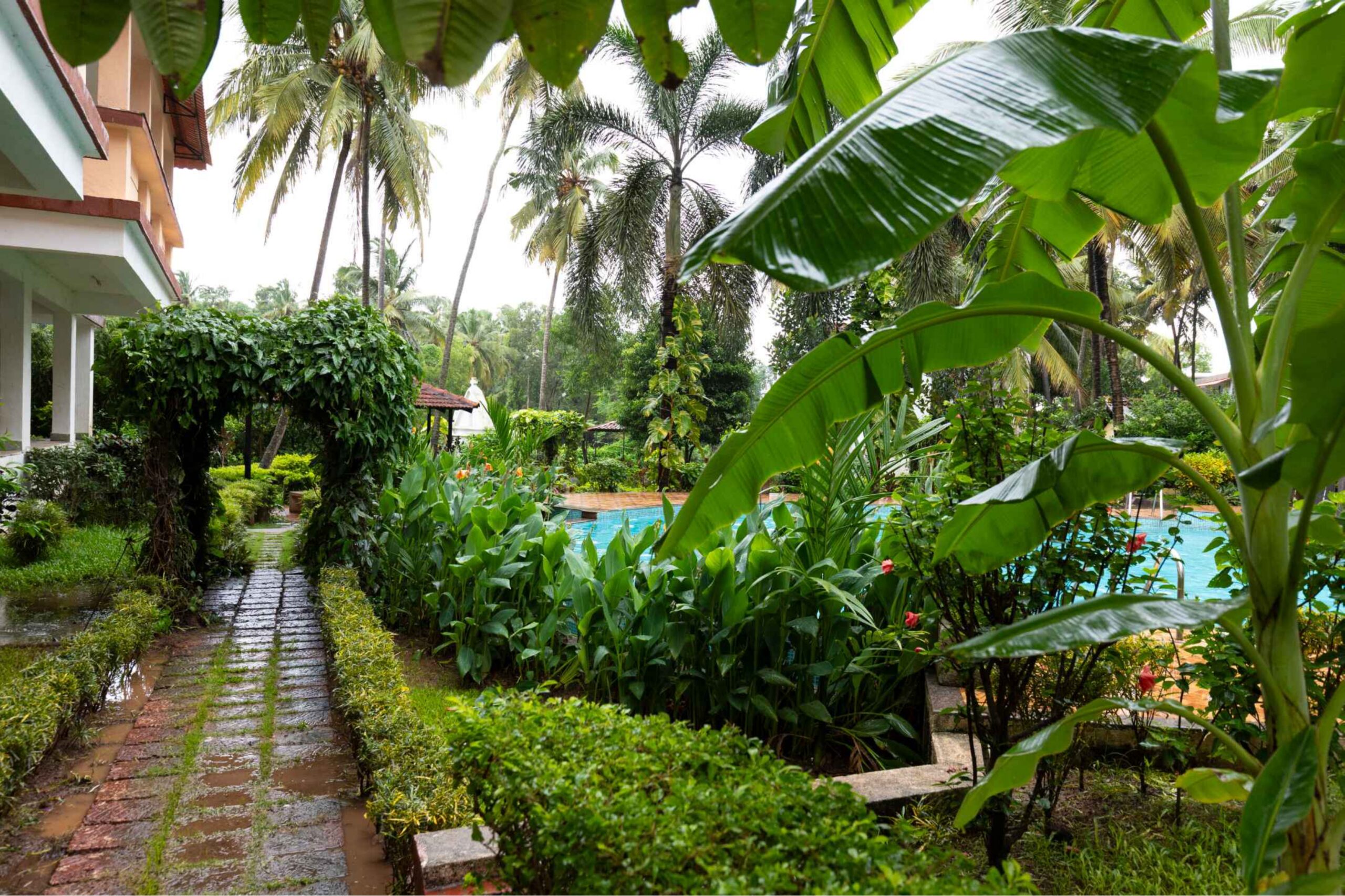 101 Raga 1BHK Arpora_page-0016